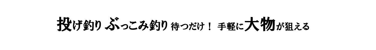 投げ釣り ぶっこみ釣り 待つだけ！ 手軽に大物が狙える